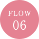 FLOW06
